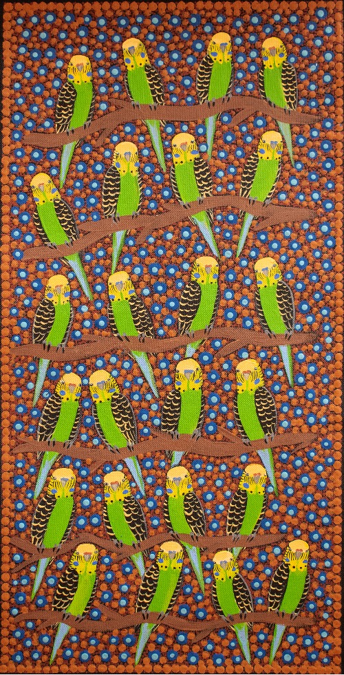 Budgerigars - KBZG1115