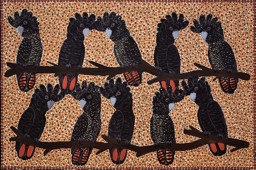 Red Tail Black Cockatoos - KBZG1088