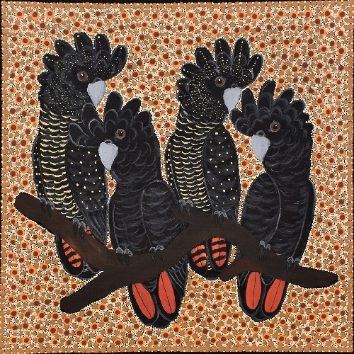 Red Tail Black Cockatoos - KBZG1089