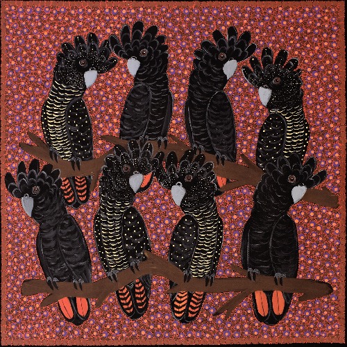 Red Tail Black Cockatoos - KBZG1090