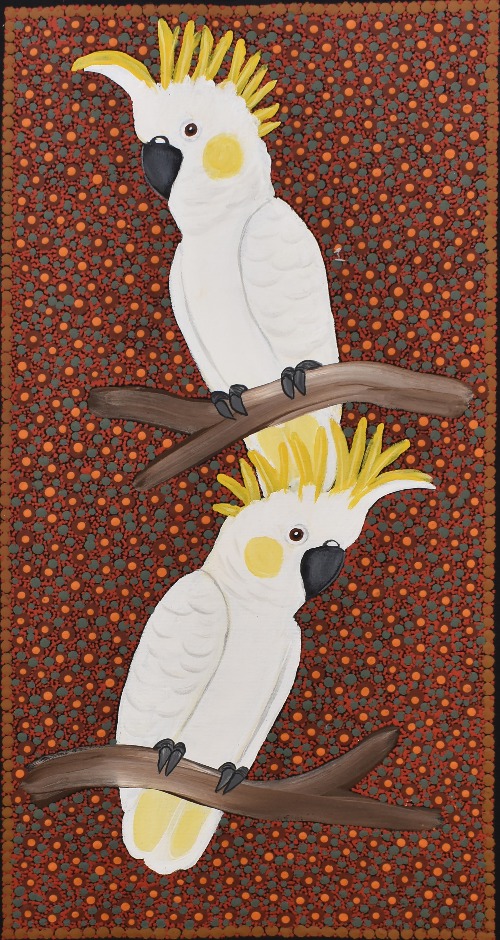 Sulphur Crested Cockatoos - KBZG1094