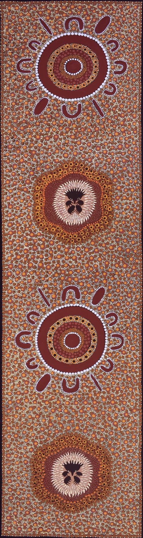 Family Hunting Echidna - KBZG1125