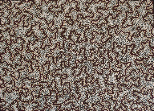 Ngapa Jukurrpa - KTNFD76/1124