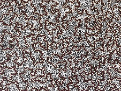 Gapa Jukurrpa (Water Dreaming) - KTNFD105/0226