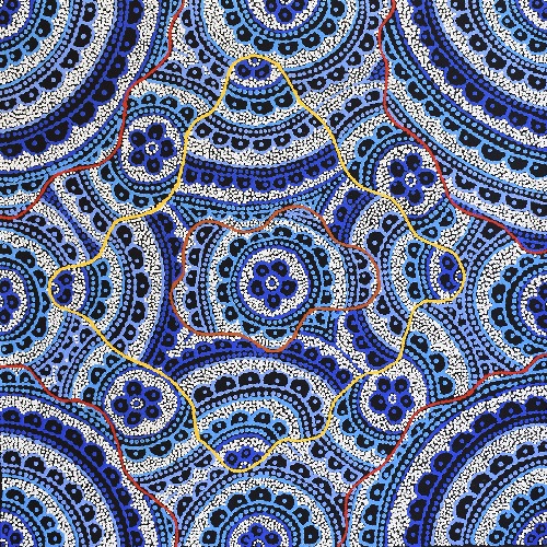 Ngalyipi Jukurrpa (Snakevine Dreaming) - Mina Mina - KNTWU281/26ny