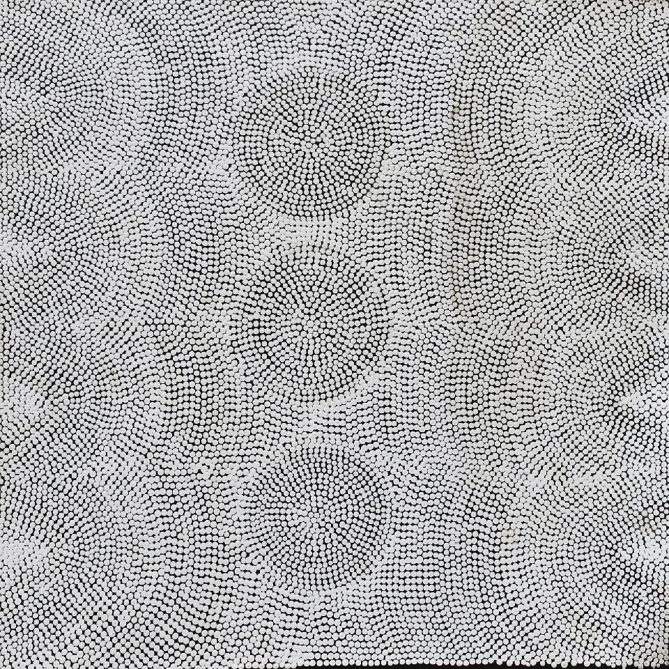 Ngapa Jukurrpa (Water Dreaming) - Puyurru - LSCWU1728/23ny by Lizzie Nungarrayi Spencer