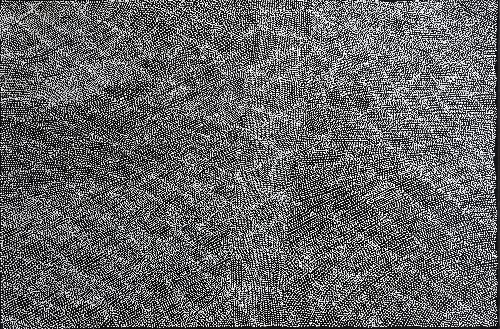 Awelye Atnwengerrp - LIPG0015