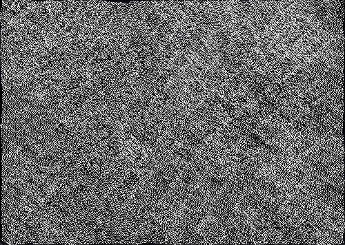 Awelye Atnwengerrp - LIPG0039