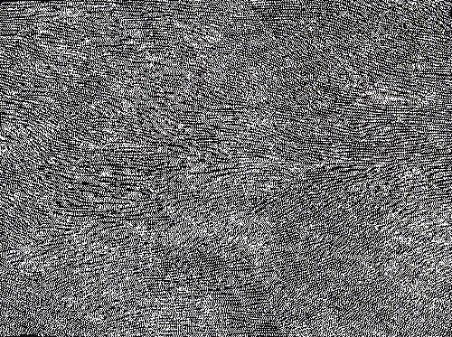 Awelye Atnwengerrp - LIPG0046