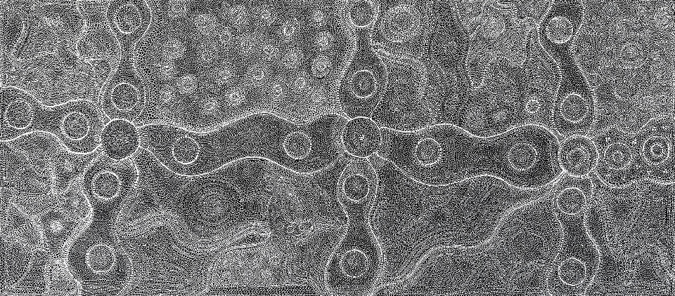 Ngapa Jukurrpa (Water Dreaming) - LNBG0056 by Lola Nampijinpa Brown