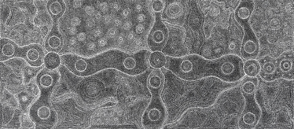 Ngapa Tjukurrpa (Water Dreaming) - LNBG0056 by Lola Nampijinpa Brown