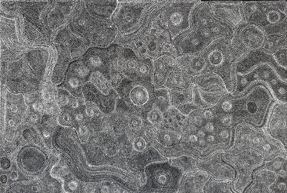 Ngapa Jukurrpa (Water Dreaming) - LNBG0057 by Lola Nampijinpa Brown