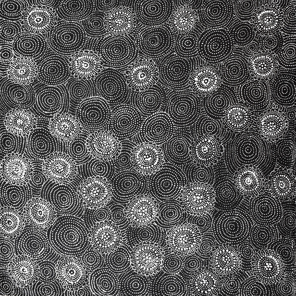 Ngapa Tjukurrpa (Water Dreaming) - LNBJ0001 by Lola Nampijinpa Brown