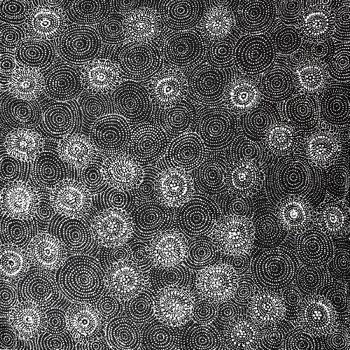 Ngapa Jukurrpa (Water Dreaming) - LNBJ0001