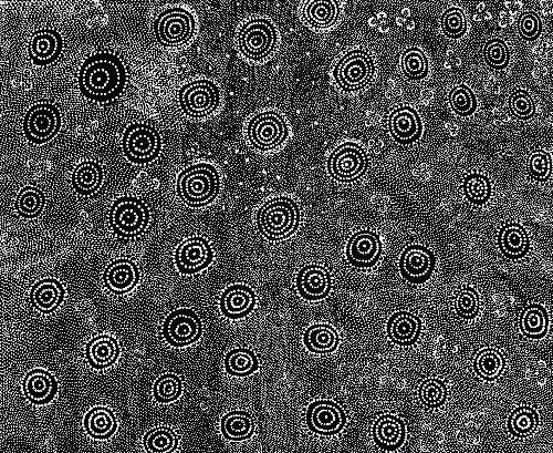Ngapa Jukurrpa (Water Dreaming) - LNBJ0002