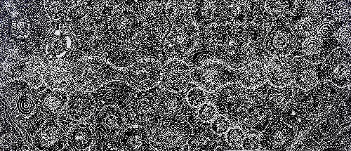 Ngapa Jukurrpa (Water Dreaming) - LNBJ0003