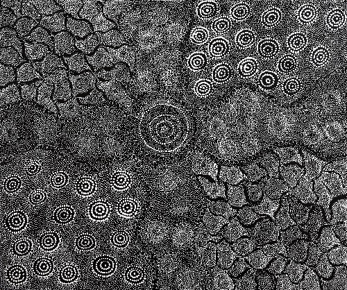 Ngapa Jukurrpa (Water Dreaming) - LNBJ0004