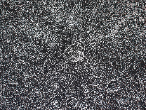Ngapa Jukurrpa (Water Dreaming) - LNBJ0008