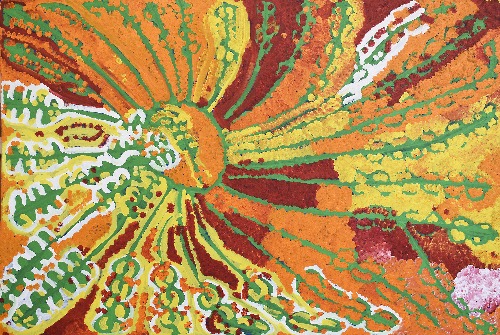 Bush Tomato Dreaming - LFNHF1674