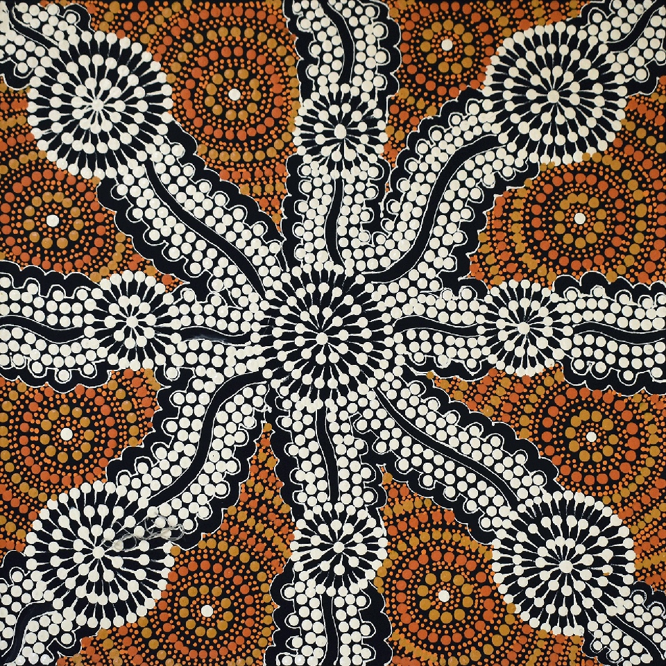 Bush Onion - MSNG0001 by Marjorie Spencer Nungarrayi
