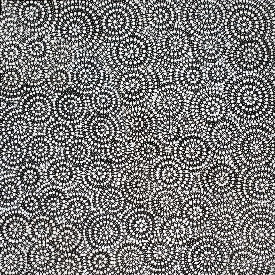 Ngapa Jukurrpa (Water Dreaming) - MSAWU3947/23 by Marcia Nampijinpa Sampson