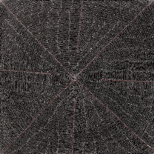 Anatye (Bush Potato) - MLPG0013