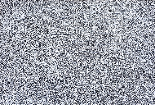 Pikilyi Jukurrpa (Vaughan Springs Dreaming) - MNBWU5438/18