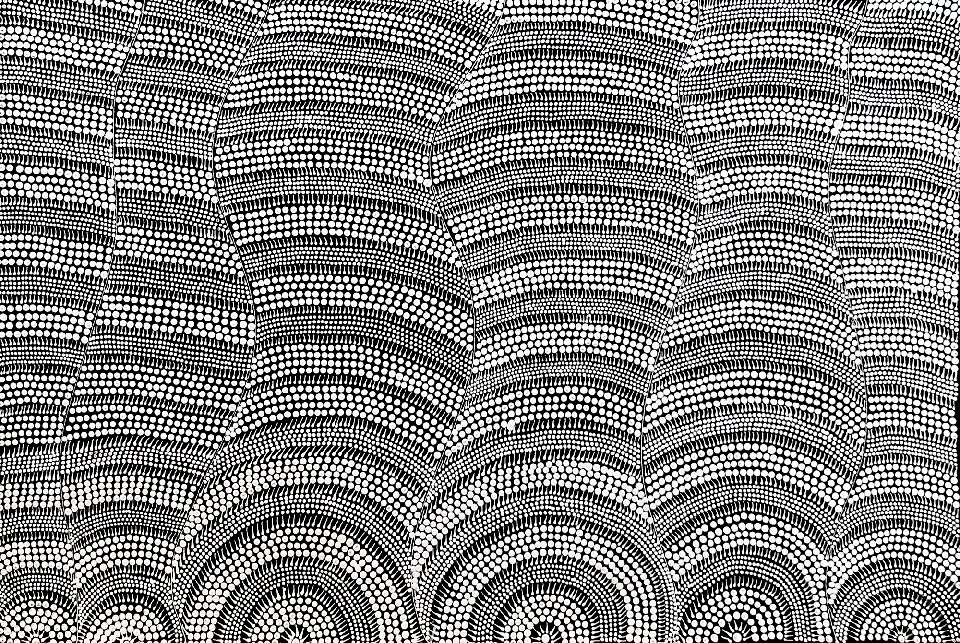 Pikilyi Jukurrpa (Vaughan Springs Dreaming) - MGAWU4174/22 by Mary Napangardi Butcher