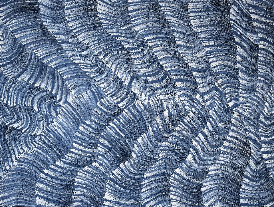 Tali (Sand Dunes) - MHNG0006 by Maureen Hudson Nampitjinpa