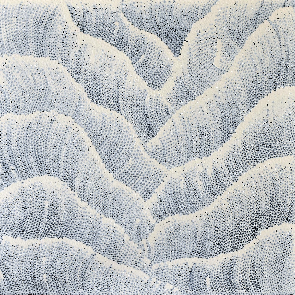 Tali (Sand Dunes) - MHNG0015 by Maureen Hudson Nampitjinpa