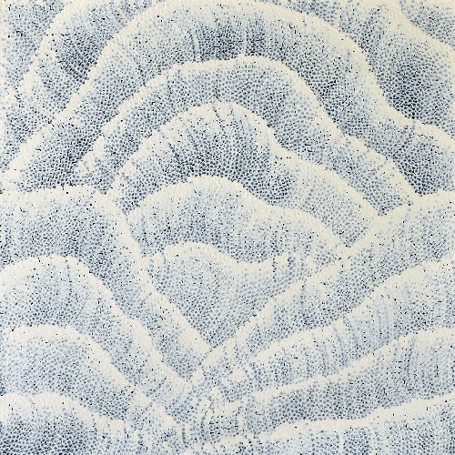 Tali (Sand Dunes) - MHNG0016