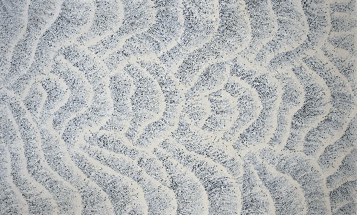 Sand Dunes - MHNAR2326