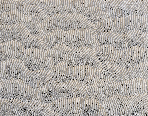 Tali (Sand Dunes) - MHNG144/0325