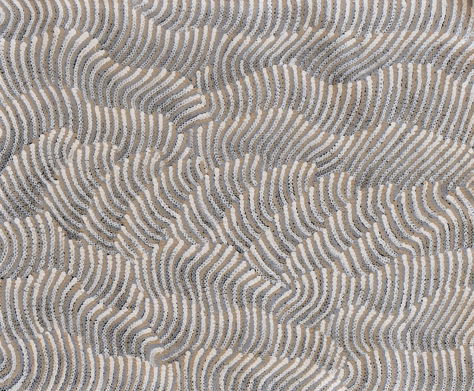 Tali (Sand Dunes) - MHNG147/0325 by Maureen Hudson Nampitjinpa