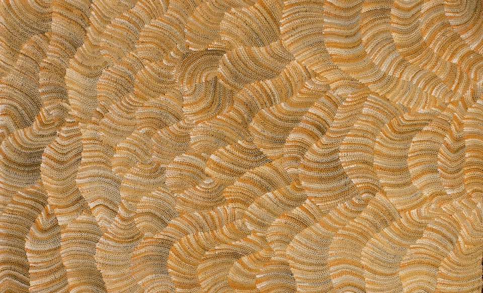 Tali (Sand Dunes) - MHNAR02201 by Maureen Hudson Nampitjinpa