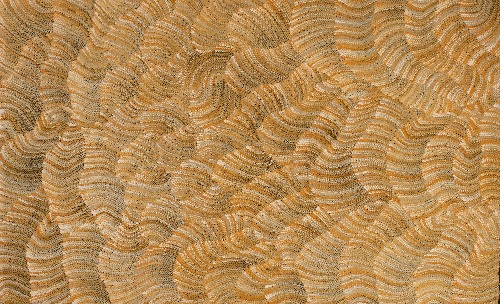 Tali (Sand Dunes) - MHNAR02201