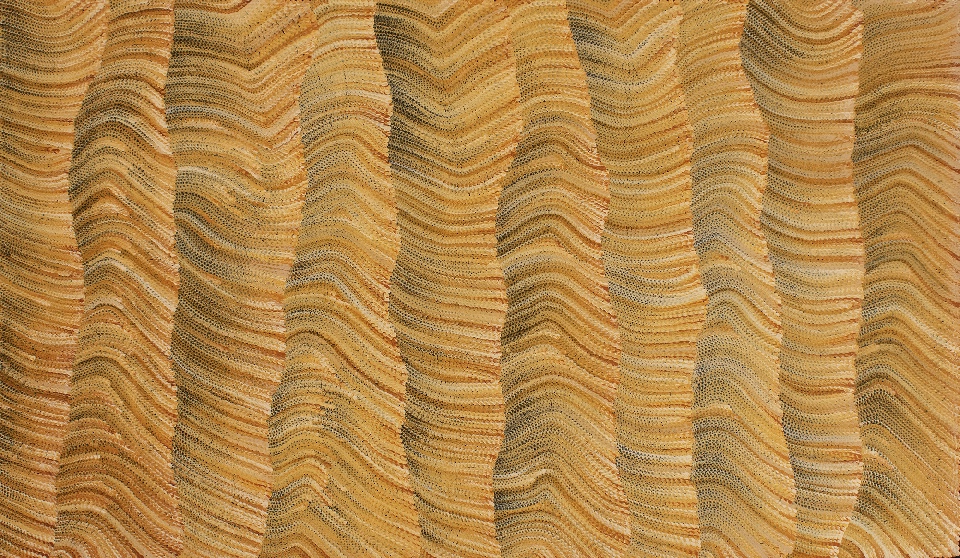 Tali (Sand Dunes) - MHNAR02228 by Maureen Hudson Nampitjinpa