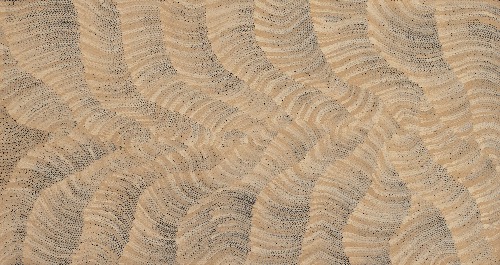 Tali (Sand Dunes) - MHNAR02235