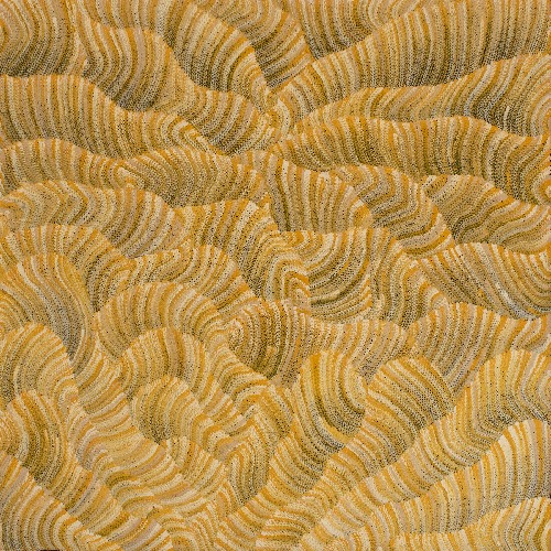 Tali (Sand Dunes) - MHNAR02242