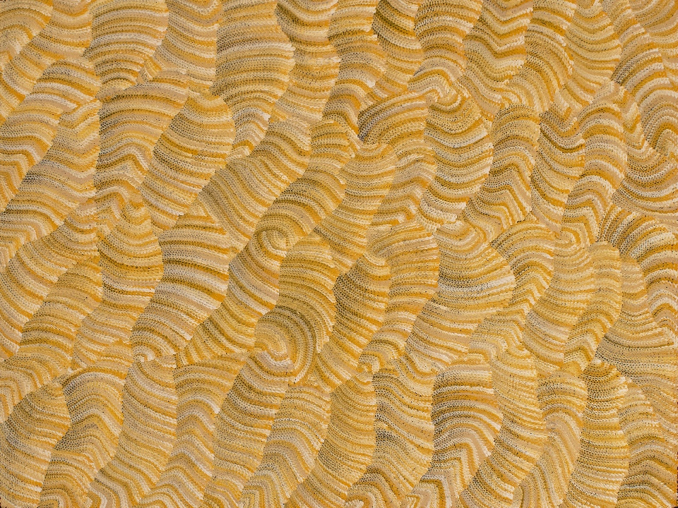 Tali (Sand Dunes) - MHNAR02251 by Maureen Hudson Nampitjinpa