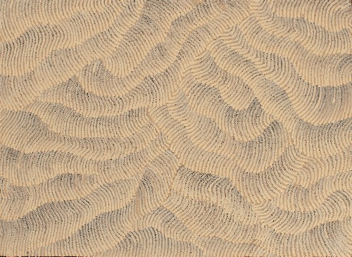Tali (Sand Dunes) - MHNAR02255