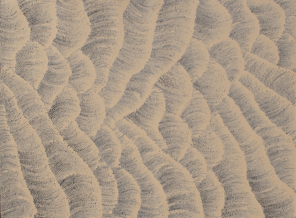 Tali (Sand Dunes) - MHNAR02344 by Maureen Hudson Nampitjinpa