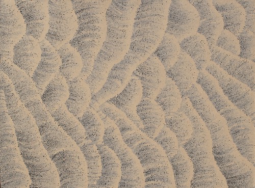 Tali (Sand Dunes) - MHNAR02344