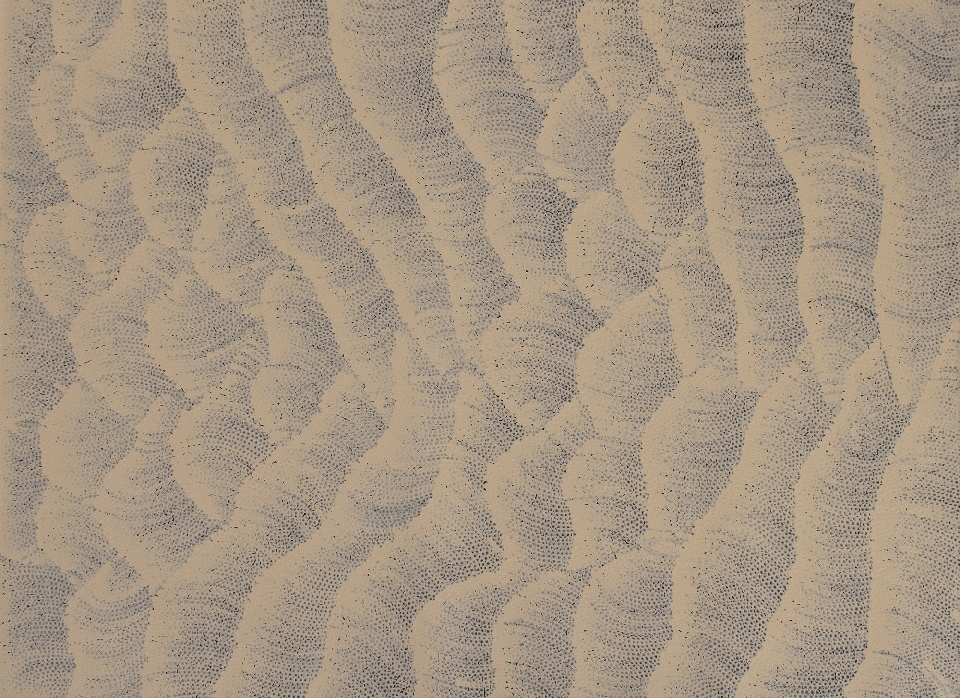 Tali (Sand Dunes) - MHNAR02345 by Maureen Hudson Nampitjinpa