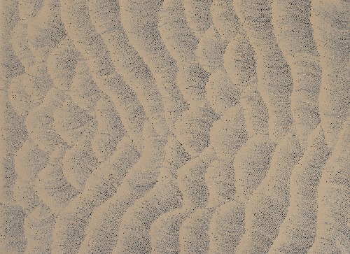 Tali (Sand Dunes) - MHNAR02345