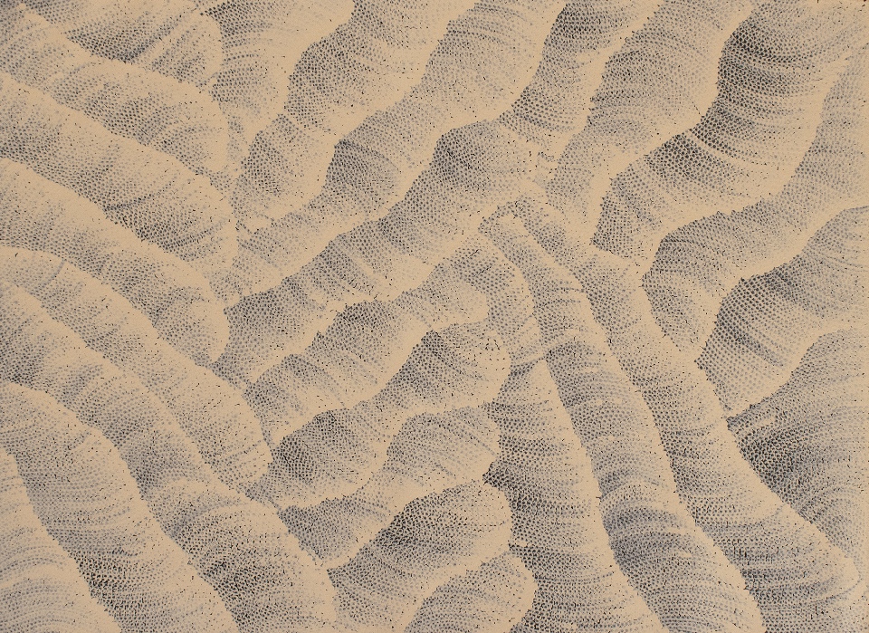 Tali (Sand Dunes) - MHNAR02375 by Maureen Hudson Nampitjinpa