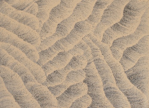 Tali (Sand Dunes) - MHNAR02375