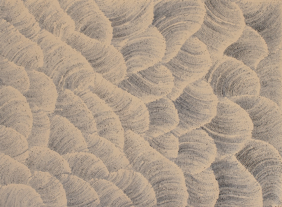 Tali (Sand Dunes) - MHNAR02376 by Maureen Hudson Nampitjinpa