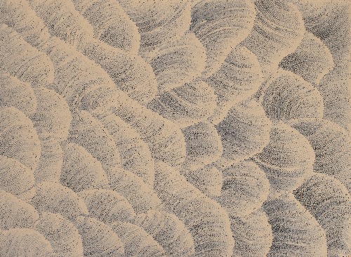 Tali (Sand Dunes) - MHNAR02376