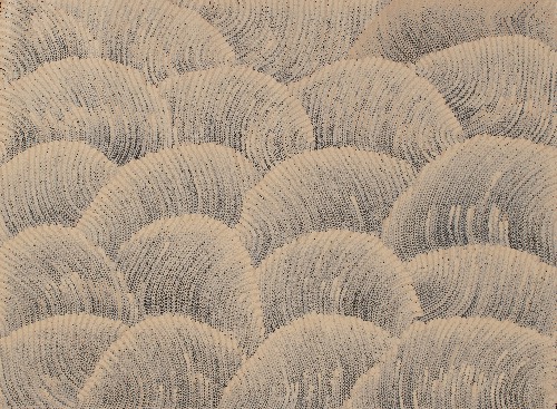 Tali (Sand Dunes) - MHNAR02506